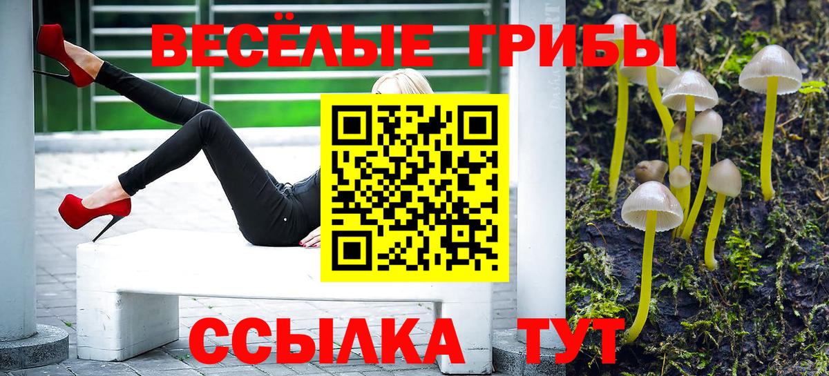 Галлюциногенные грибы Psilocybe  Вход с VPN  Псилоцибиновые грибы MAGIC MUSHROOMS  Мыски 